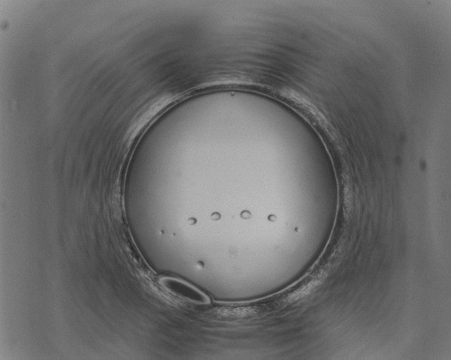 X0000070381129200606231705