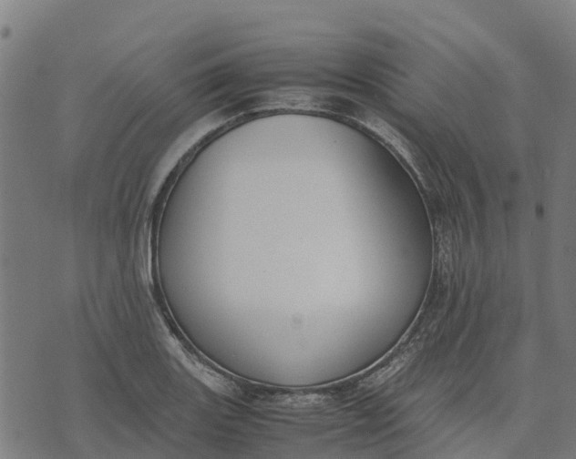 X0000070381131200606231706