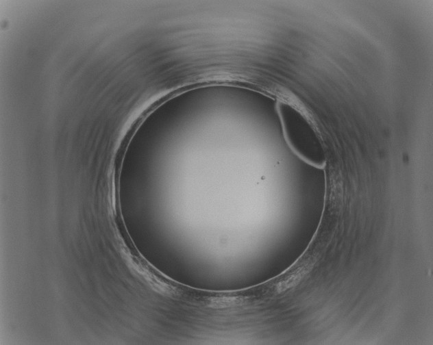 X0000070381132200606231706