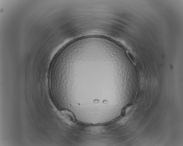 X0000070381134200606231706