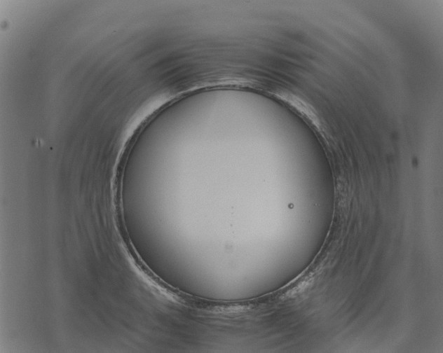 X0000070381135200606231706