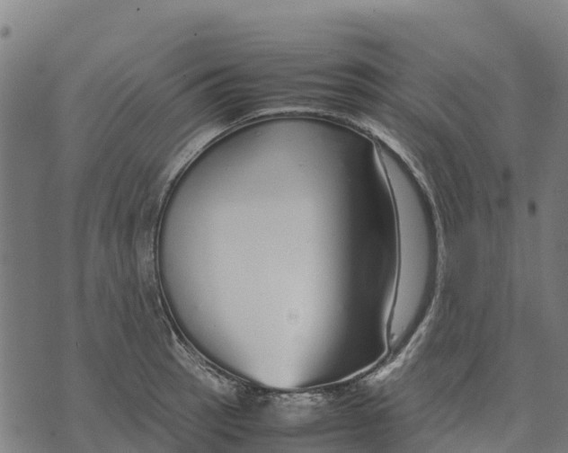 X0000070381137200606231706