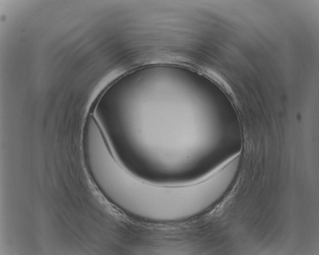 X0000070381138200606231706