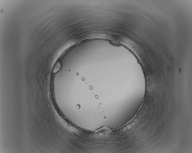 X0000070381139200606231706