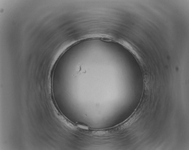 X0000070381140200606231706