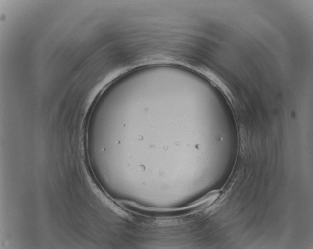 X0000070381142200606231706