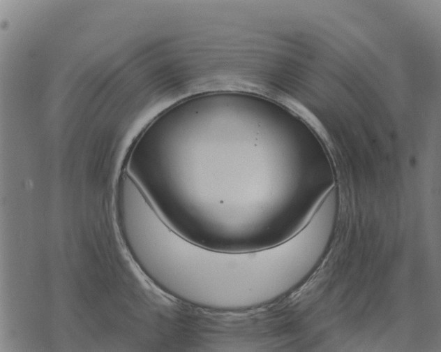 X0000070381144200606231706