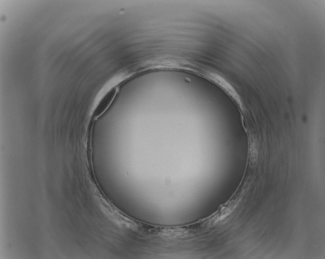 X0000070381146200606231706