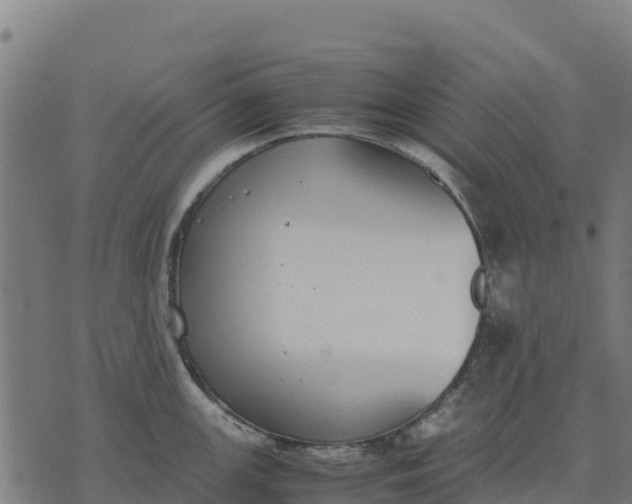 X0000070381147200606231706