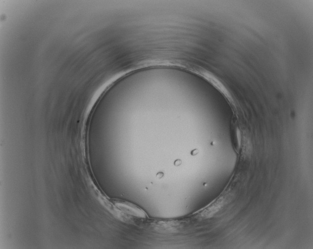 X0000070381148200606231706