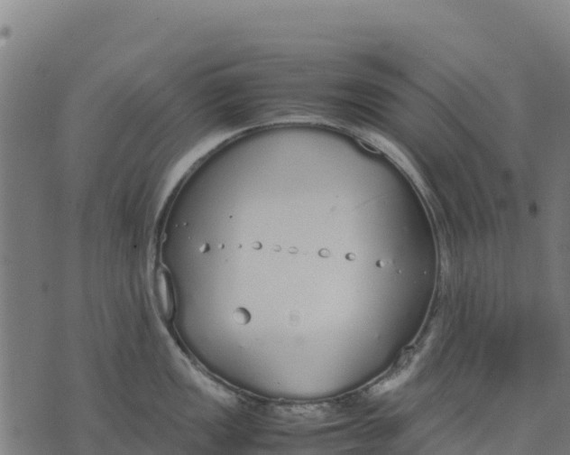 X0000070381149200606231706