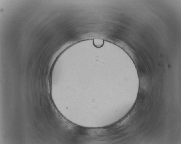 X0000070381150200606231706