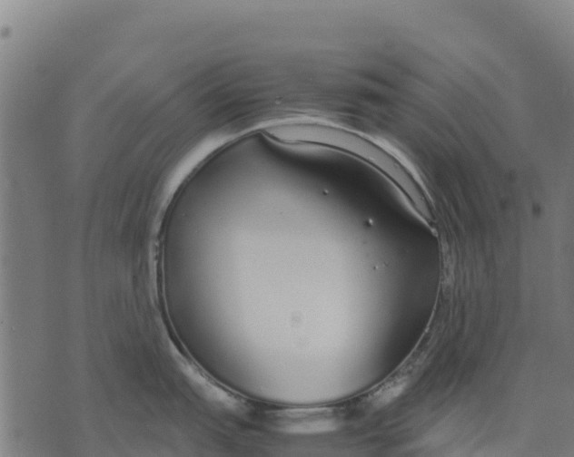 X0000070381151200606231706