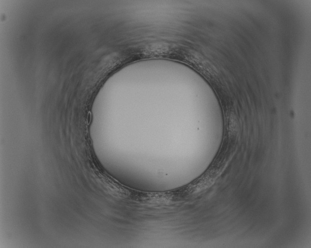 X0000070381153200606231705