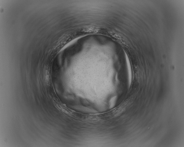 X0000070381154200606231705