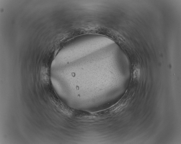 X0000070381156200606231705