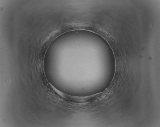 X0000070381157200606231705