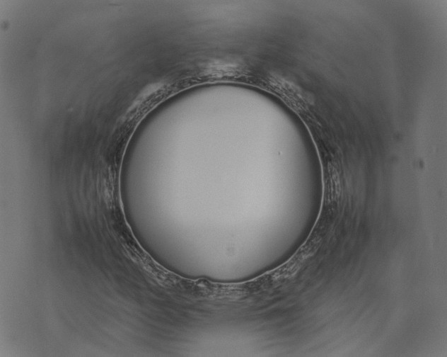 X0000070381158200606231705