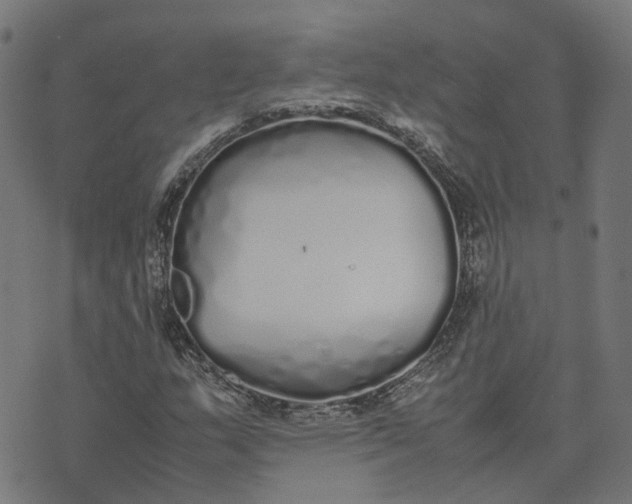 X0000070381159200606231705