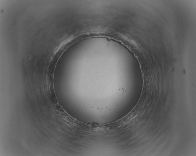 X0000070381160200606231705