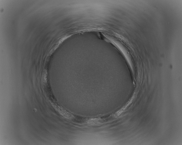 X0000070381161200606231705