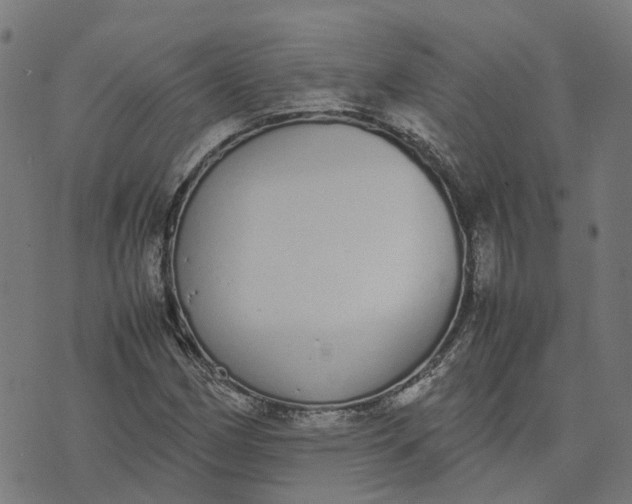 X0000070381162200606231705