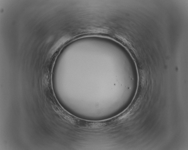 X0000070381163200606231705