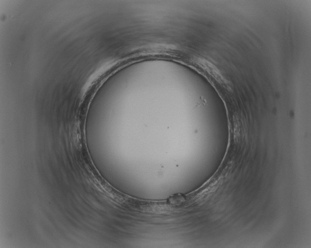 X0000070381164200606231705