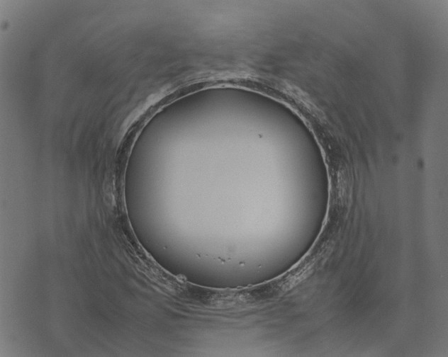 X0000070381165200606231705