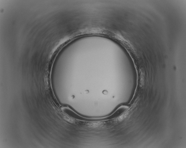 X0000070381166200606231705