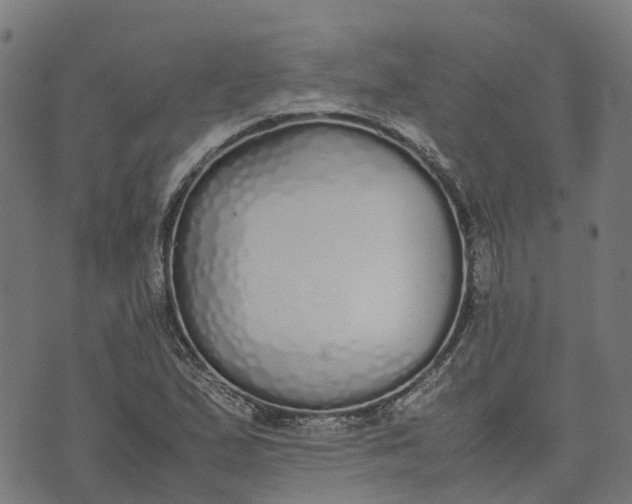 X0000070381167200606231705