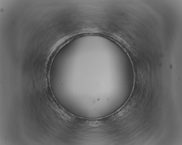 X0000070381168200606231705