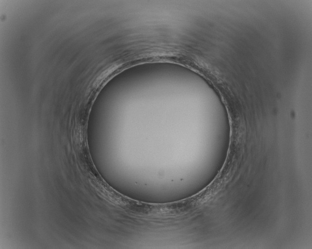 X0000070381169200606231705