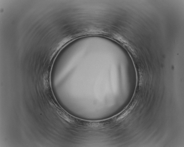 X0000070381170200606231705