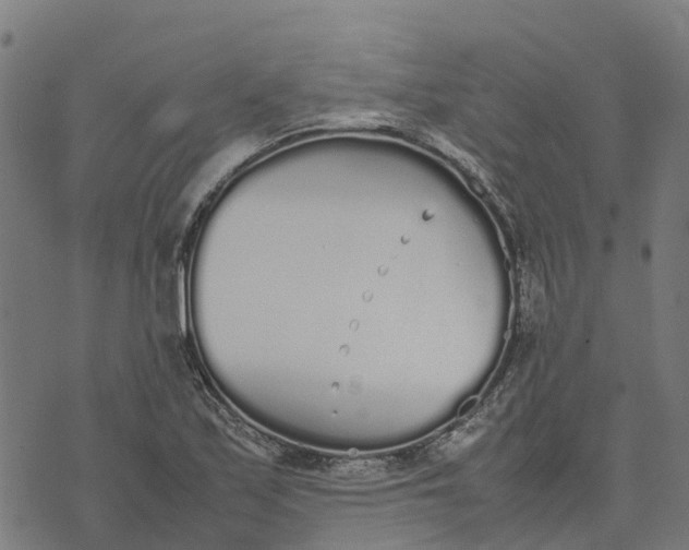 X0000070381171200606231705