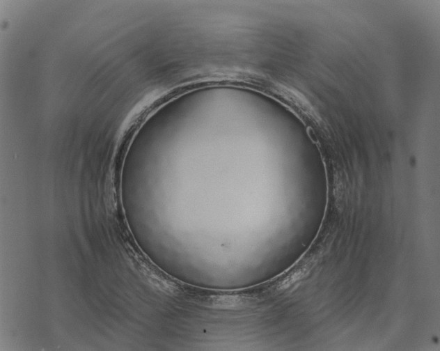 X0000070381172200606231705