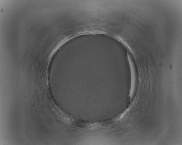 X0000070381173200606231705