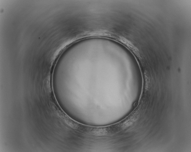 X0000070381174200606231705