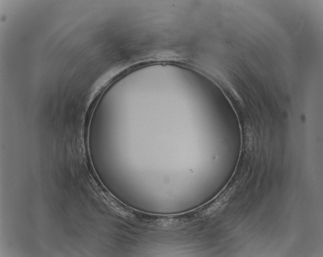 X0000070381176200606231705