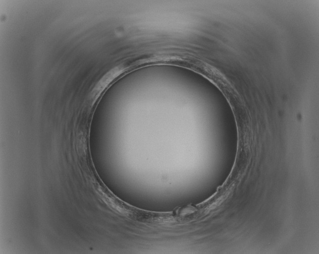 X0000070381177200606231705