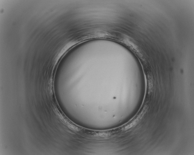 X0000070381178200606231705