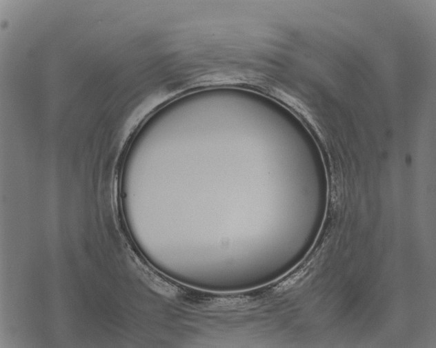 X0000070381179200606231705