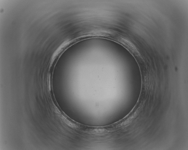 X0000070381180200606231705