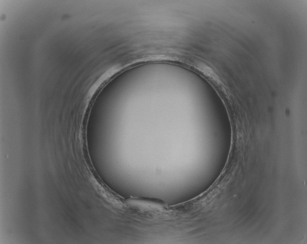 X0000070381181200606231705