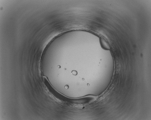 X0000070381182200606231705