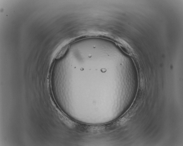 X0000070381183200606231705