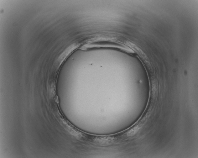 X0000070381185200606231705