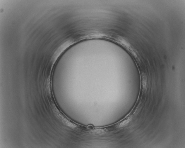 X0000070381186200606231705