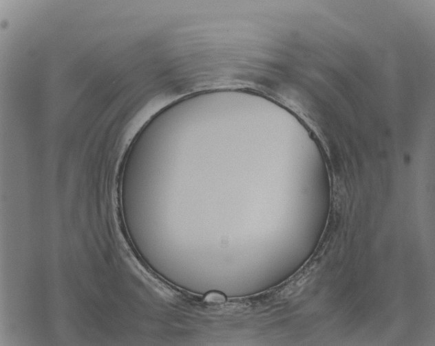 X0000070381187200606231705