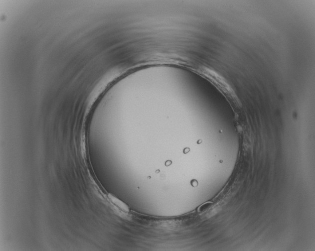 X0000070381188200606231704